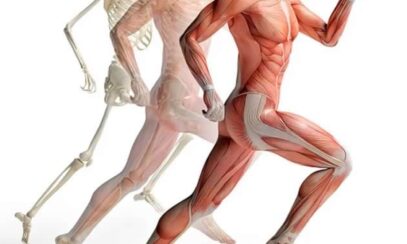 Isfai - Istituto Superiore di Formazione per Aziende e Imprese